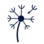 GoShipFast logo